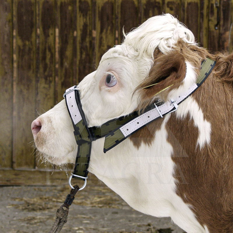 01-2012/12501 APAUŠI (-/s69) GOVĪM