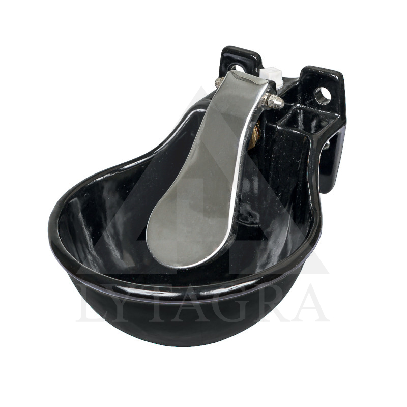 221500 ČUGUNA DZIRDNE