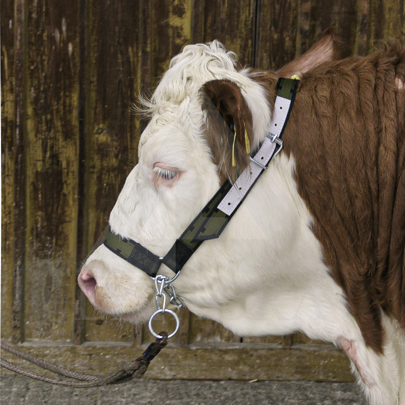 125010 APAUŠI GOVĪM AR ĶĒDI