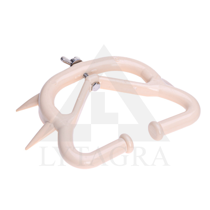 13161 RIŅĶIS PRET IZZĪŠANU