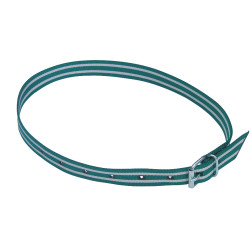 20898 IDENTIFIKĀCIJAS KAKLA SIKSNA/ ZAĻA 120CM