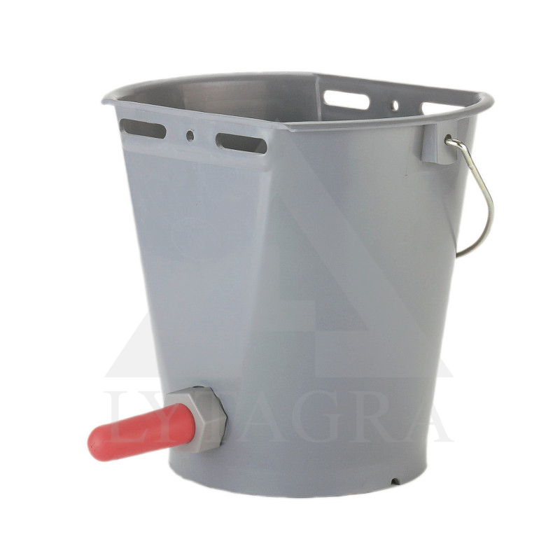 144S SPAINIS DZIRDNE, 1 KNUP.