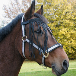 321890-P  PIERES SIKSNA-SKARAS