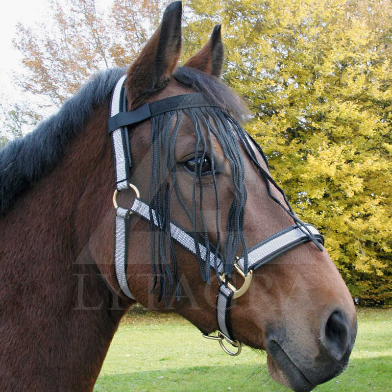 321890-P  PIERES SIKSNA-SKARAS