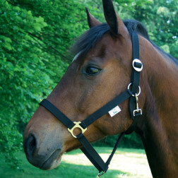 90704 APAUŠI CLASSIC MELNI NR 5