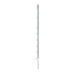 441803 EL.GANA MIETS TITAN, 157cm