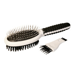 06-0236 M.DZ.BIRSTE DIVPUSĪGA AR TĪR.LĪDZ.