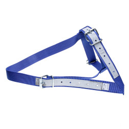 01-2013-001 APAUŠI GOVĪM ZILI