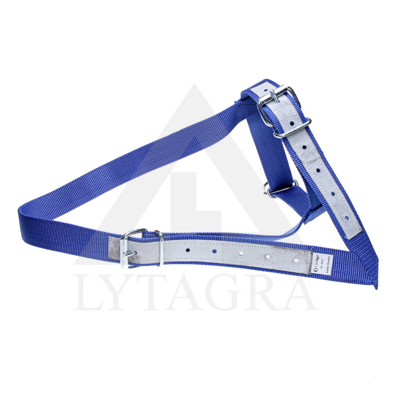 01-2013-001 APAUŠI GOVĪM ZILI