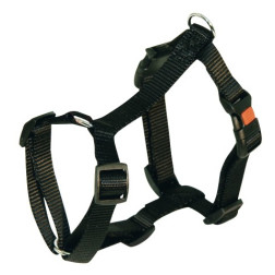 84358 M.DZ.SIKSNA 55-76