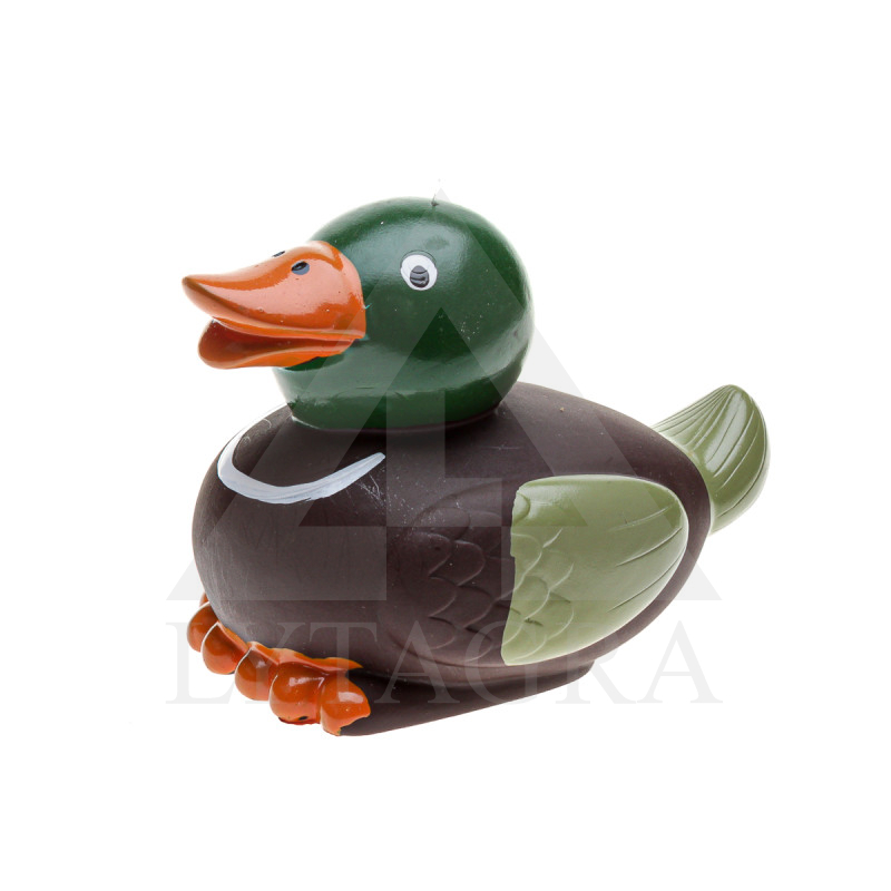 480789 M.DZ.ROTAĻLIETA PĪLE