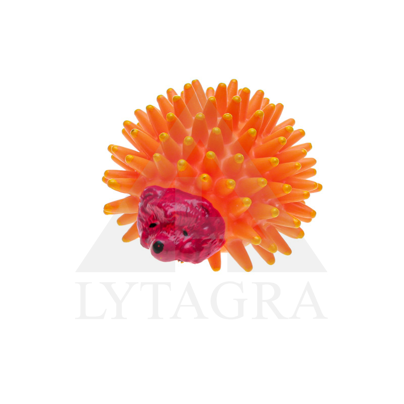 480790 M.DZ. ROTAĻLIETA  EZIS