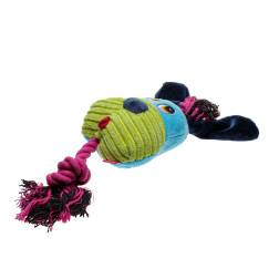 T0003 M.DZ.ROTAĻLIETA SUŅIEM