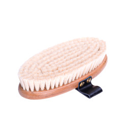 321648 BIRSTE MIKST. BRUSH&CO 16.5CM