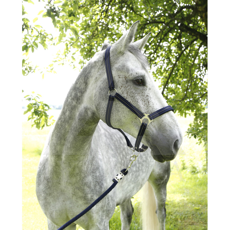 329909 APAUŠI F/S 18 COB