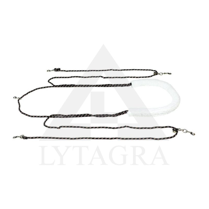 10802 ZIRGU DRES.VADĪBAS SISTĒMA