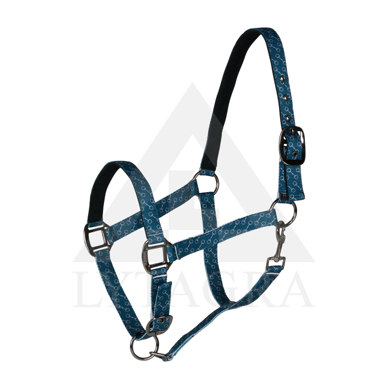 22325-LGNB-P HORZE CLAREMONT APAUŠI