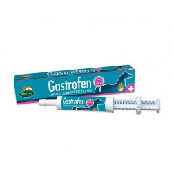 MVFP8079  PASTA  ZIRGIEM GASTROFEN 80 ml