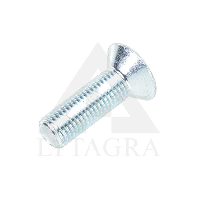 00370262 SKRŪVE M 16 x 50