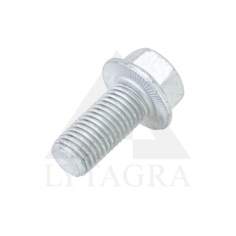 00360217 SKRŪVE 16X35 10.9