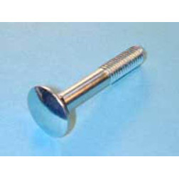 SKRŪVE DIN603 M10X70 ZN