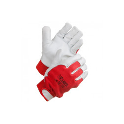 ZIEMAS CIMDI ELBY  CW-1011