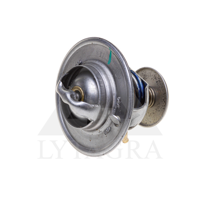25/143-65 TERMOSTATS CASE 218039A1