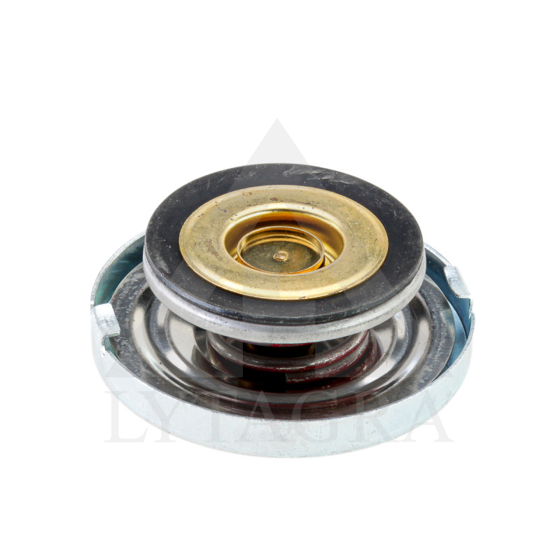 25/151-11 RADIATORA VĀCIŅŠ 3047378R91 CASE, CL, FE