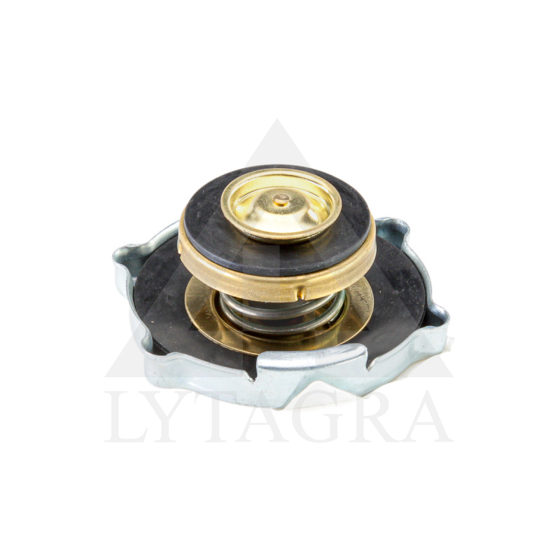 25/151-33 RADIATORA VĀCIŅŠ 83957211 CASE