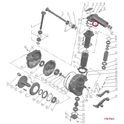 52-2308038 PAPLĀKSNE  REG.(20)