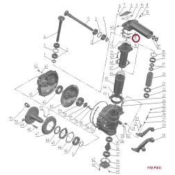 52-2308039 PAPLĀKSNE REG. (20)