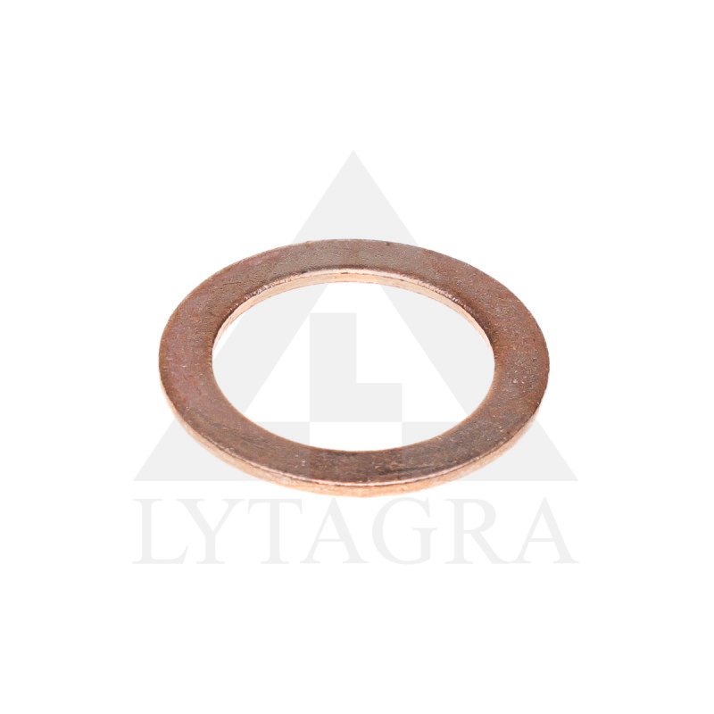 PAPLĀKSNE VARA 20-28