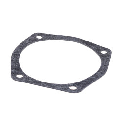 240-1117102 DEGV.FILTRA  BLĪVE