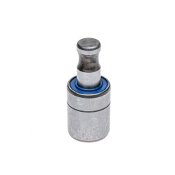 00310131 GULTNIS/HORSCH