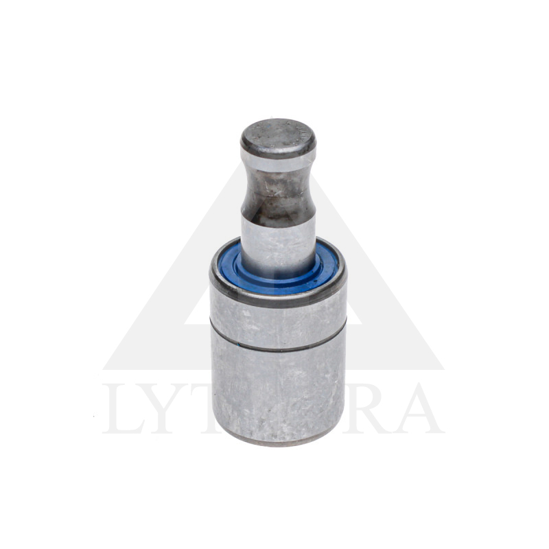 00310131 GULTNIS/HORSCH