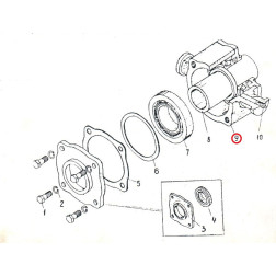 BDJU-01.304  KORPUSS