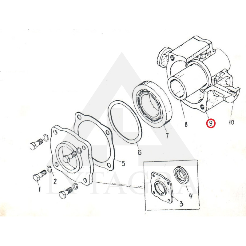 BDJU-01.304  KORPUSS
