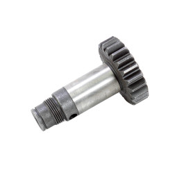 200311370 VĀRPSTA KRONE