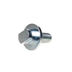 2537450/2531083  SKRŪVE NAZIM KRONE