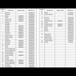 1659459409 VĒRSTUVE XL L./OVERUM/
