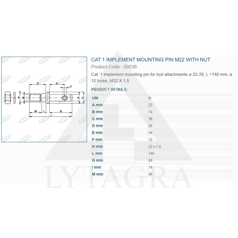 A 00036 PIRKSTS  /22X140/
