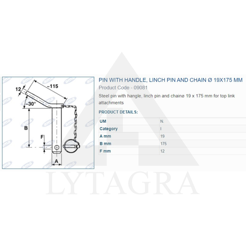A09081 PIRKSTS AR FIKSATORU 19x175