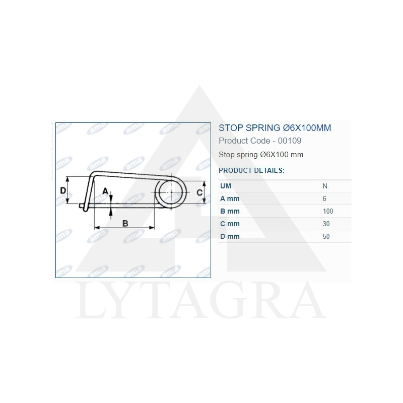 00109  FIKSATORS  6X100 MM 3 gab.