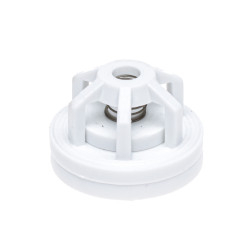 VĀRSTS POĻU MIGLOT.