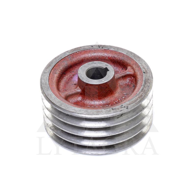 5036/01025 SKRIEMELIS  8-24