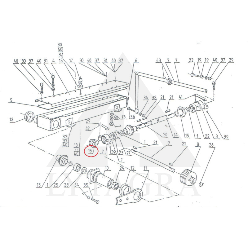 010-660 ZOBRATS KON.MAZAIS 16-24 1,65 1,85