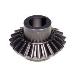 010-673 ZOBRATS KON.LIELAIS 1,65 1,85