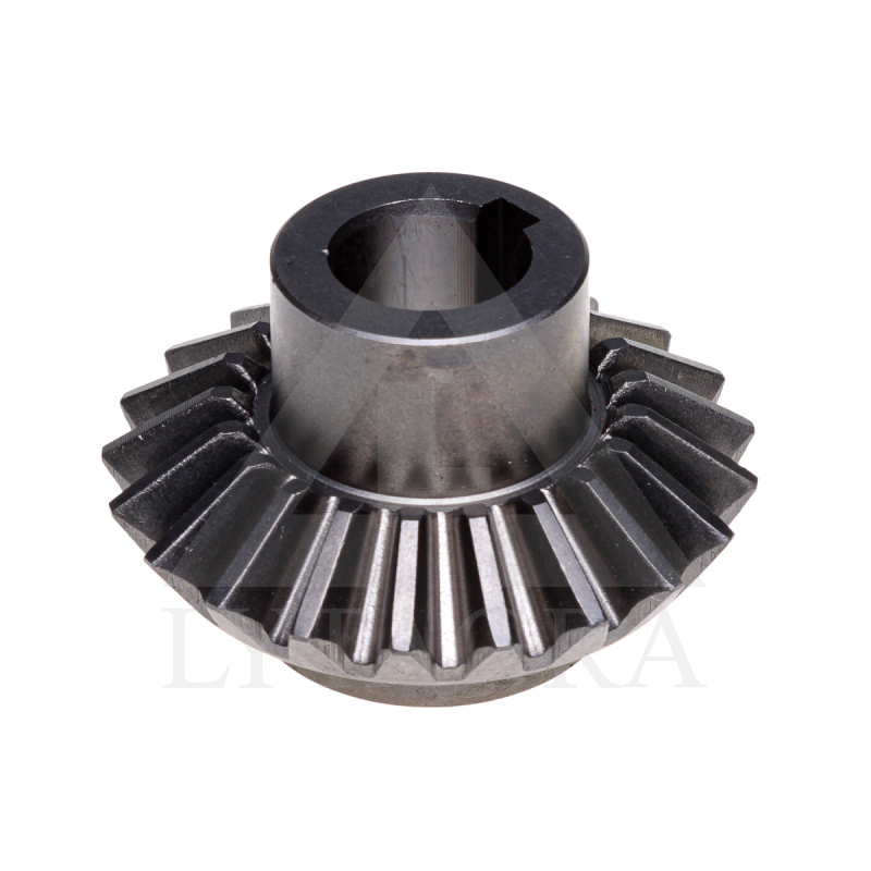 010-673 ZOBRATS KON.LIELAIS 1,65 1,85