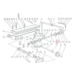 010-673 ZOBRATS KON.LIELAIS 1,65 1,85