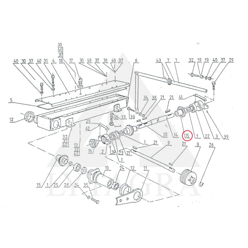 010-673 ZOBRATS KON.LIELAIS 1,65 1,85